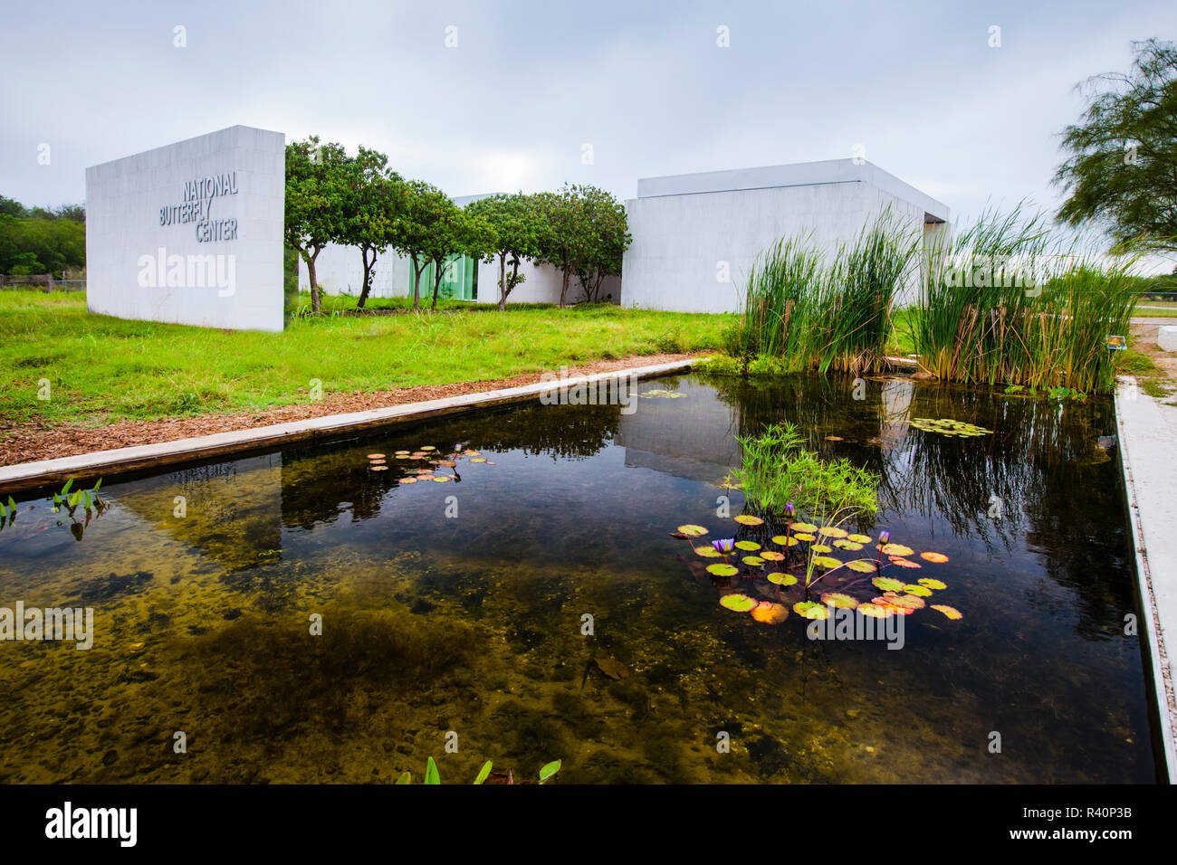 Papillon National Center de Mission, au Texas Banque D'Images