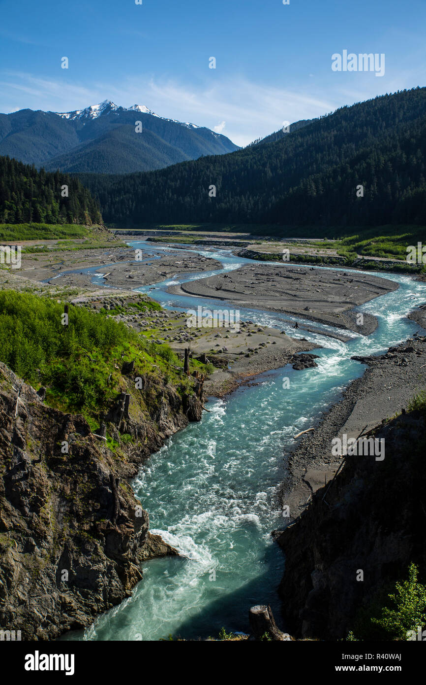 Le Comté de Jefferson, l'État de Washington. Le Parc National Olympique, rivière Elwha. Montagnes Olympiques, la coupe de la forêt et des sédiments Banque D'Images