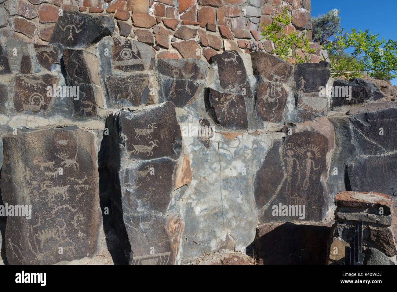 L'État de Washington, le Ginkgo Petrified Forest State Park, Indian petroglyphs Banque D'Images