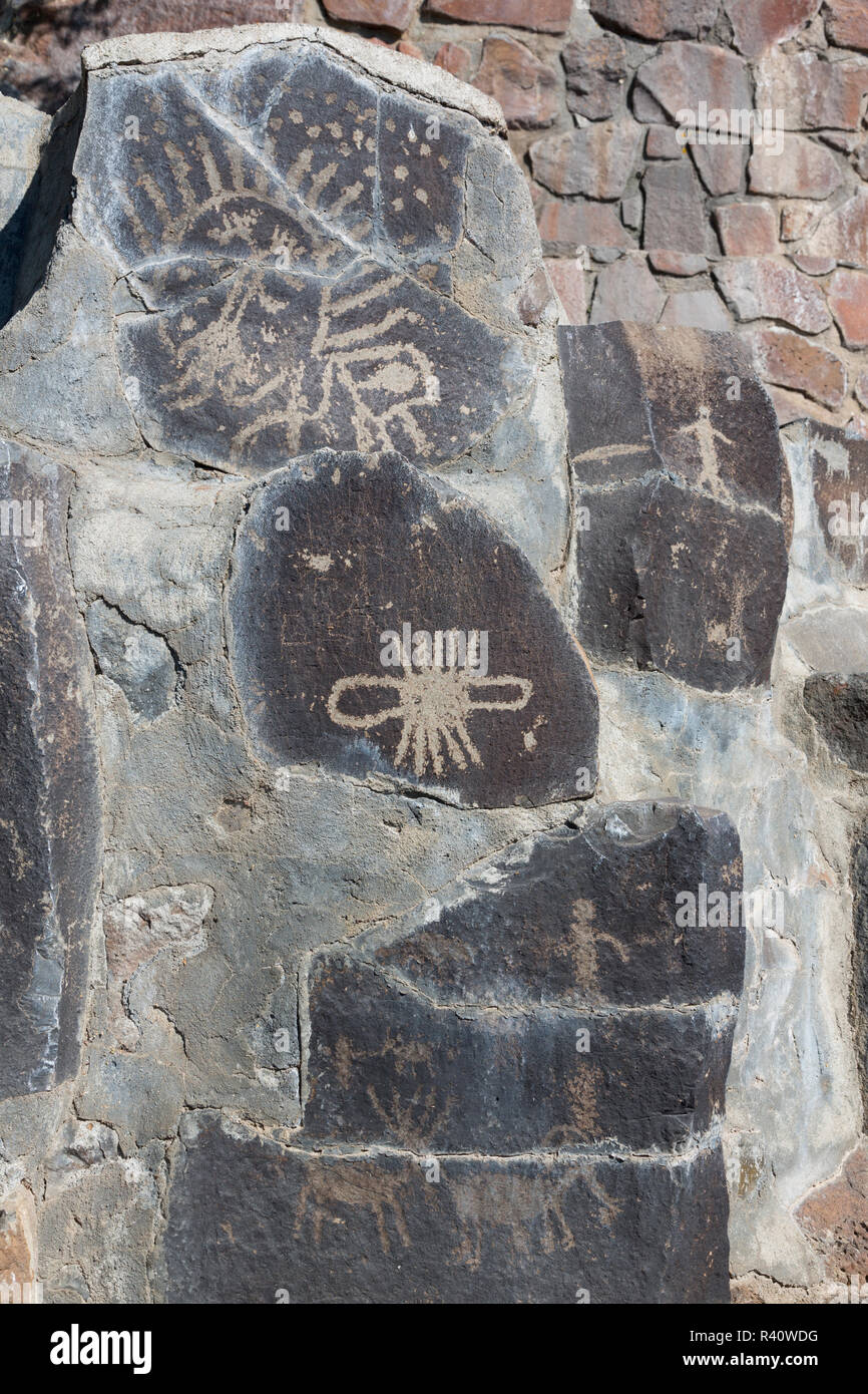 L'État de Washington, le Ginkgo Petrified Forest State Park, Indian petroglyphs Banque D'Images