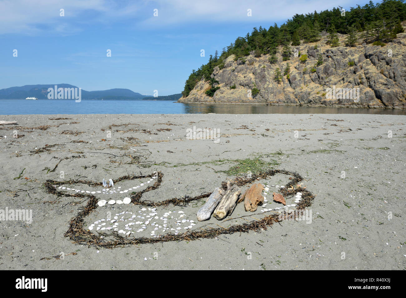 L'État de Washington, USA, San Juan Islands, l'île Lopez, Orca faite d'algues, de coquillages et bois flotté sur la plage. Spencer Spit Banque D'Images