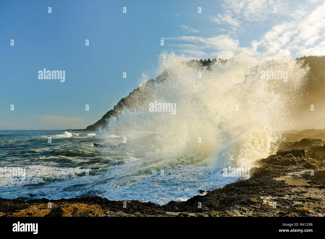 S'écraser sur le rivage, Cape Perpetua, près de l'Oregon, à Yachats Banque D'Images