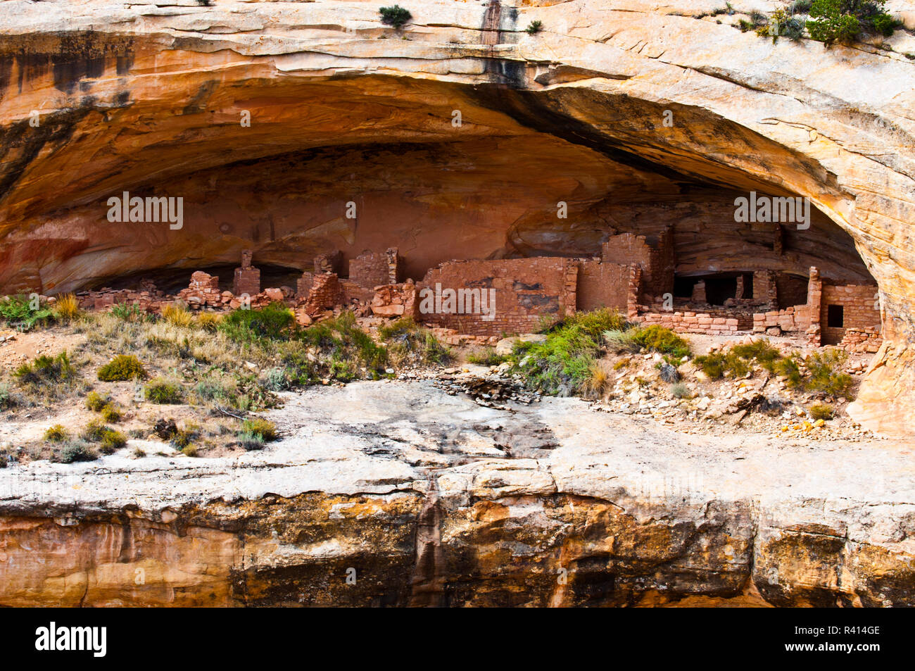 USA, Utah, Butler Laver Ruines Anasazi, Ours Oreilles National Monument Banque D'Images