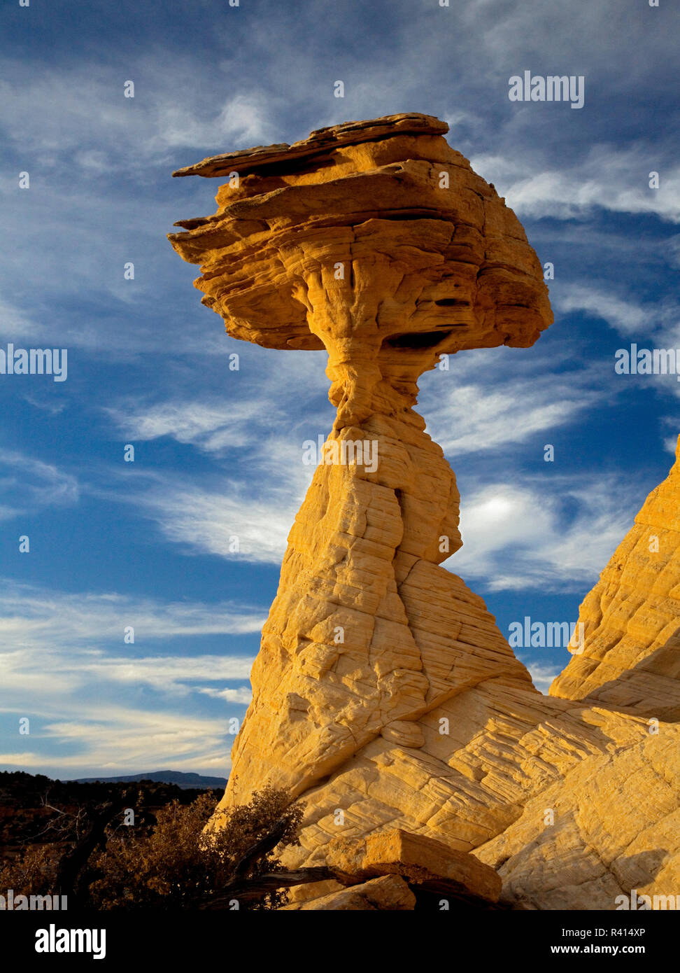 USA, Utah, Grand Staircase-Escalante National Monument, Mushroom Rock Banque D'Images