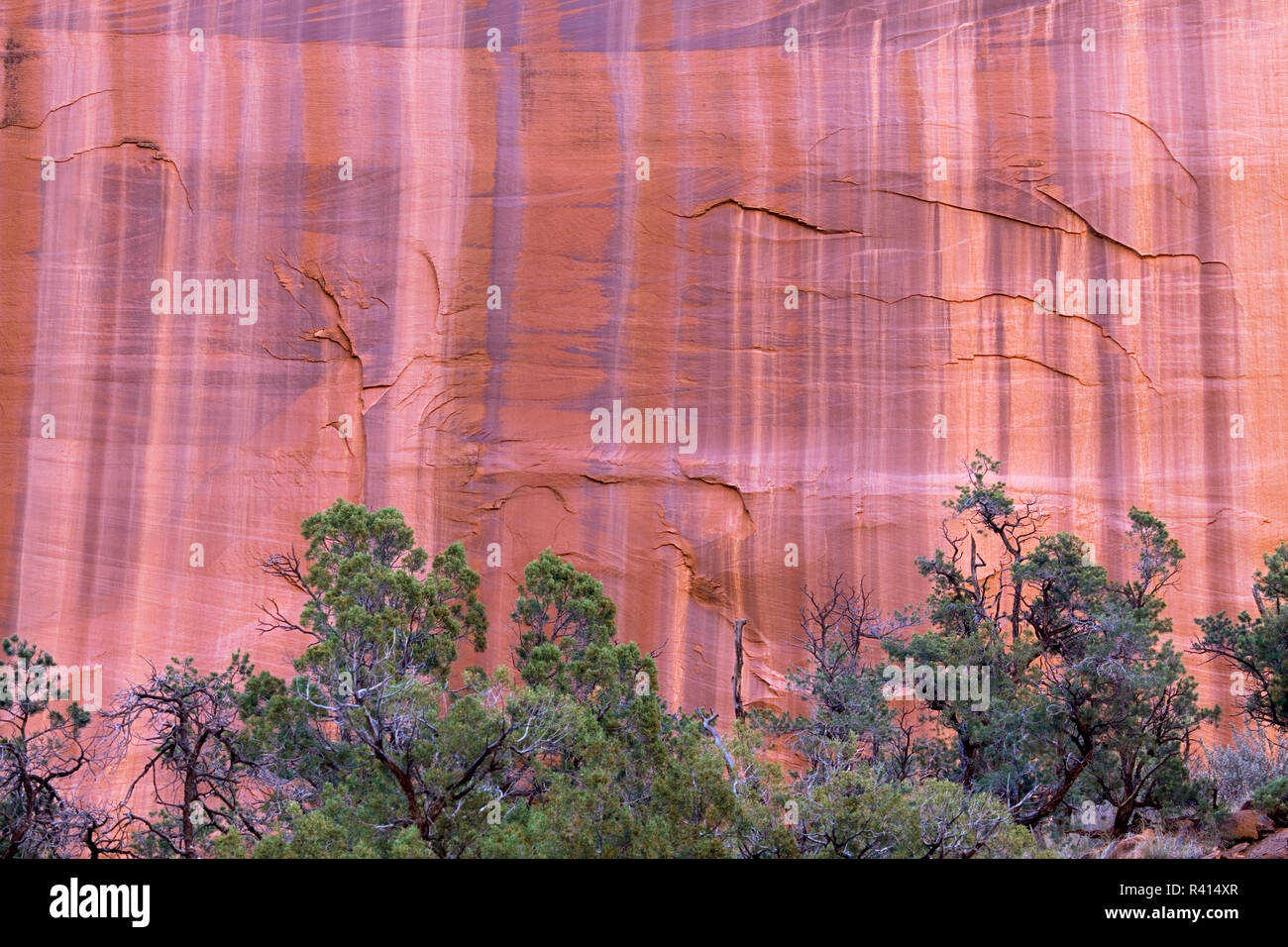 USA, Utah, Grand Staircase-Escalante National Monument Banque D'Images