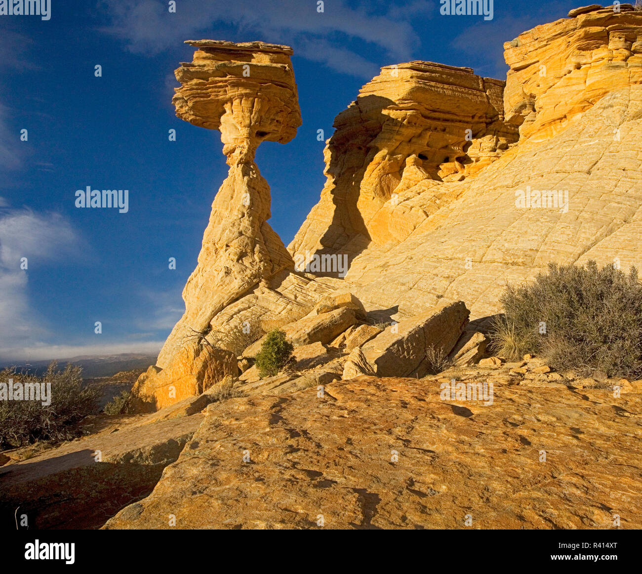 USA, Utah, Grand Staircase-Escalante National Monument, le grès Banque D'Images