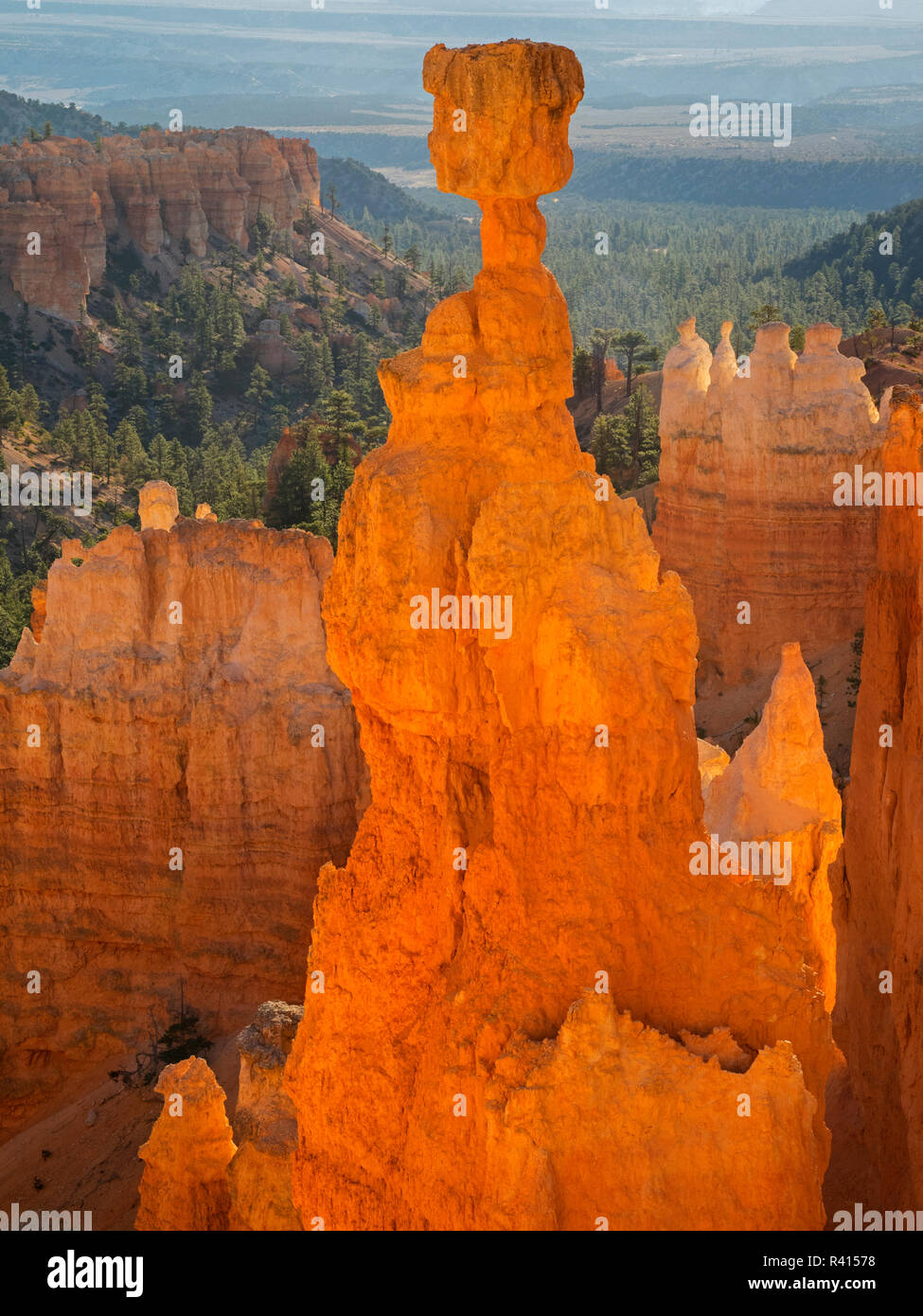 L'Utah, le Parc National de Bryce Canyon. Le marteau de Thor Banque D'Images