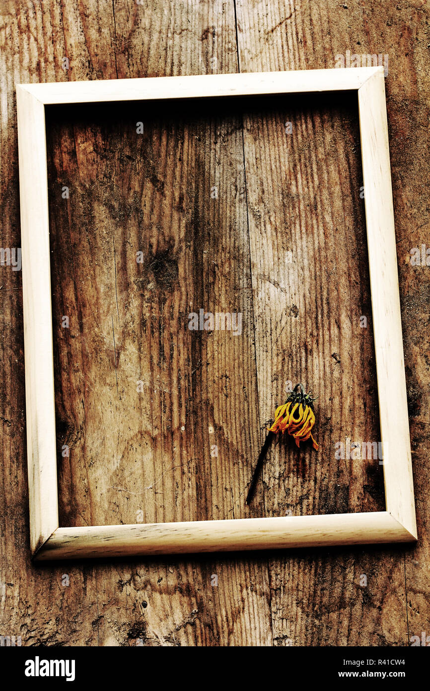 Art ancien - un cadre photo sur une vieille planche en bois avec des fleurs  séchées Photo Stock - Alamy