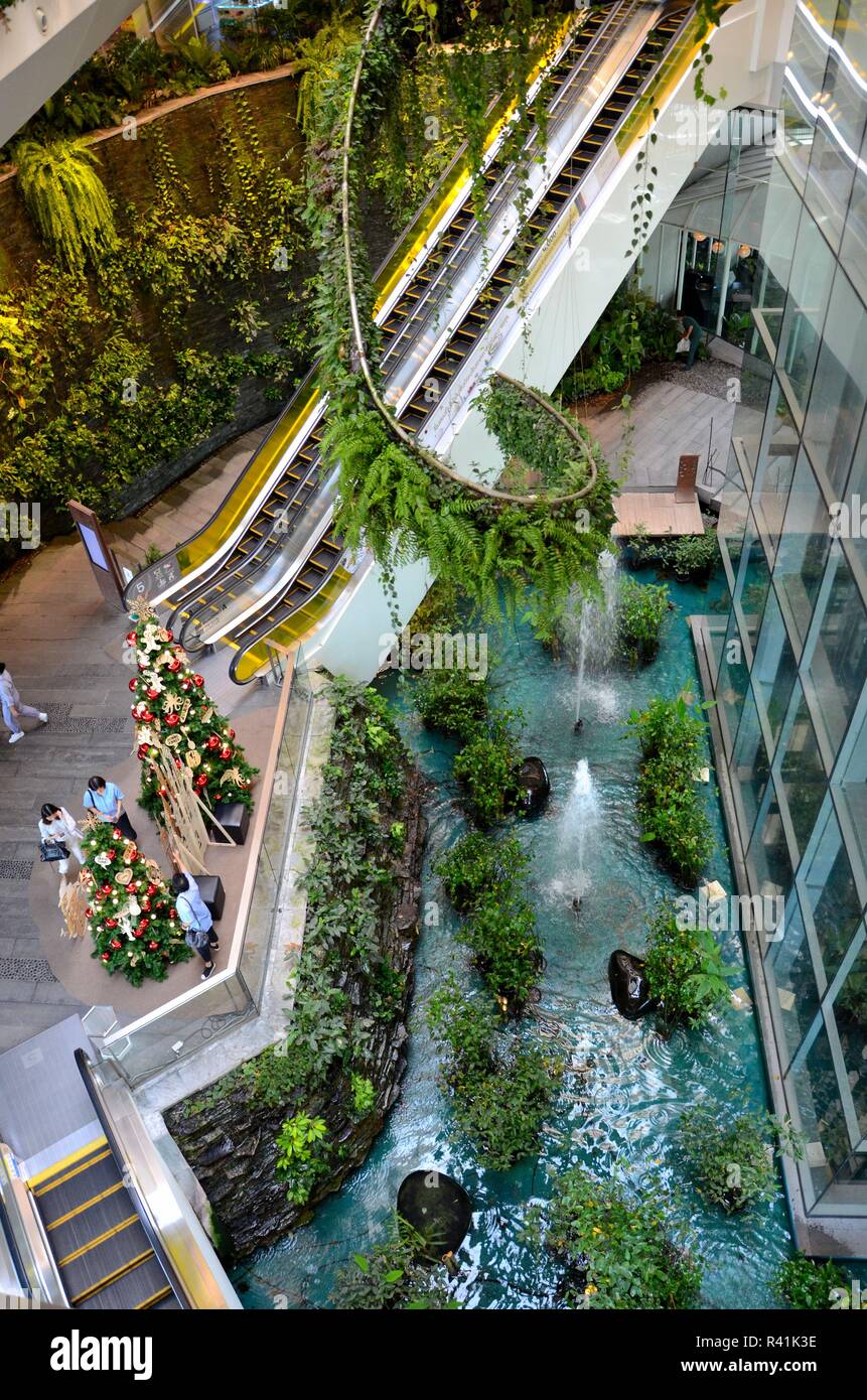 Décoration intérieure verticale verte des étages à manger du centre commercial Emquartier Bangkok Thaïlande Banque D'Images