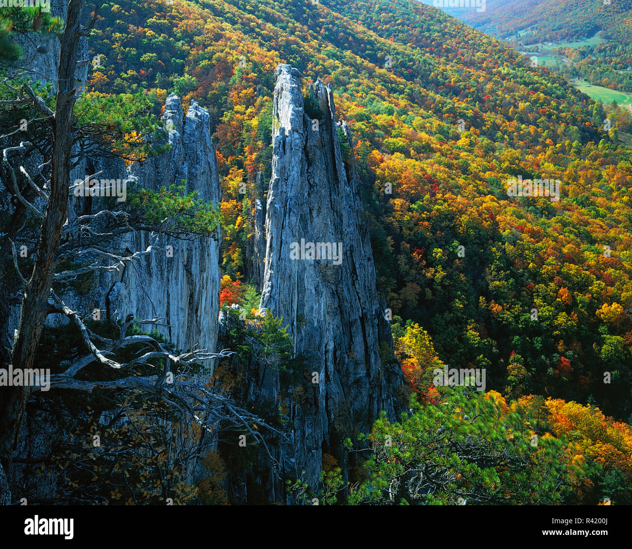 USA, Virginie de l'Ouest, la Forêt nationale de Monongahela, Epicéa Knob-Seneca Rocks National Recreation Area, Seneca Rocks Banque D'Images