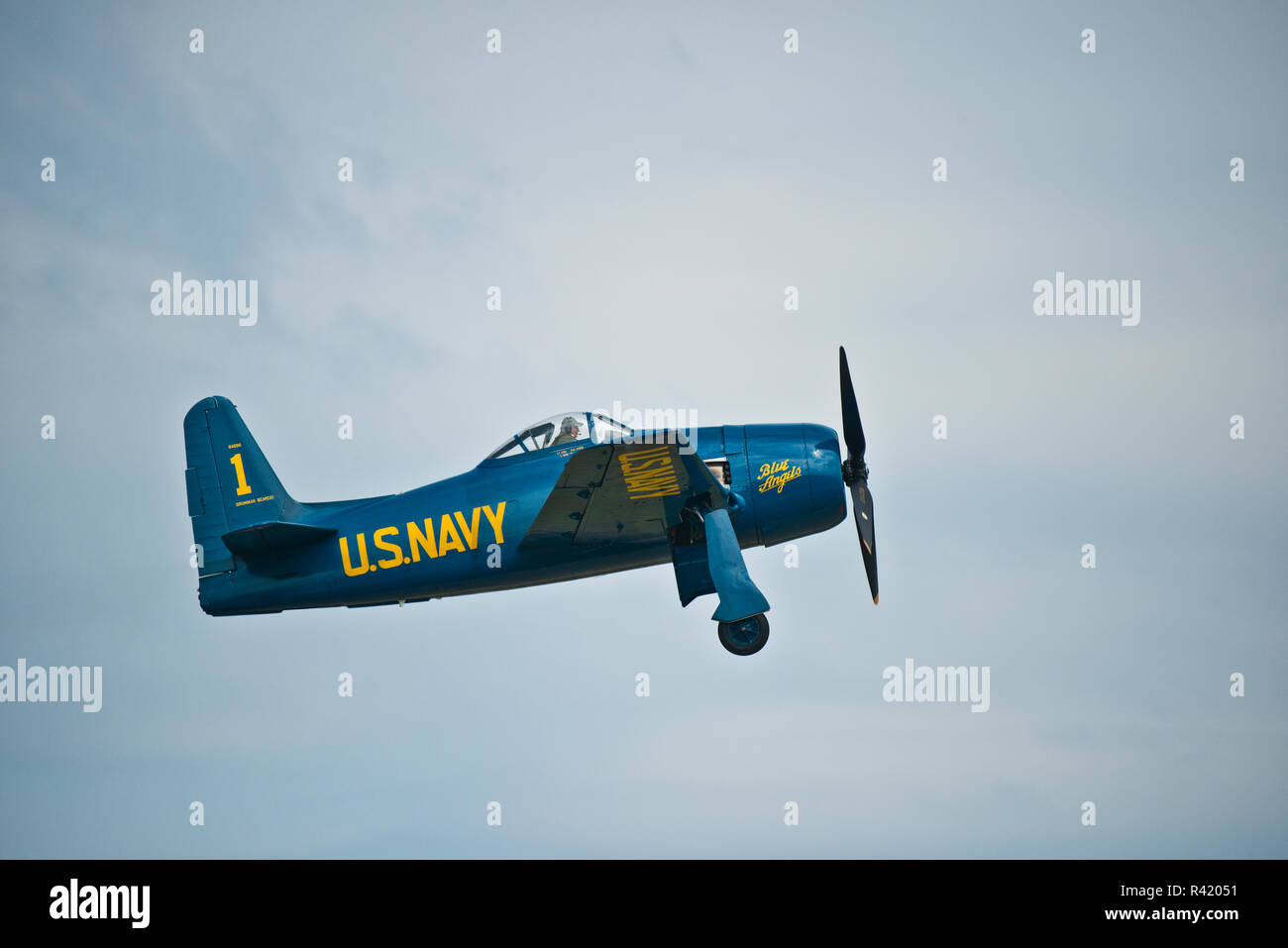 USA (Wisconsin), Oshkosh, AirVenture 2016, Grumman F8F Bearcat Navy Fighter Aircraft Restoration Blue Angel Banque D'Images