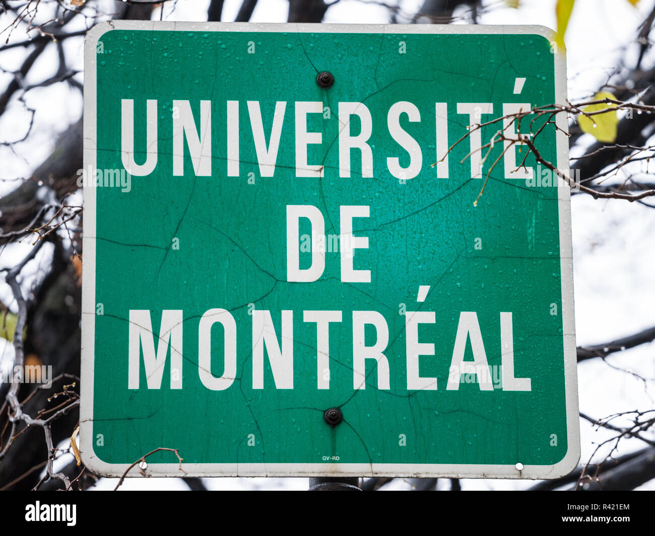 Montréal, Canada - le 3 novembre 2018 : Roadsign indiquant ainsi la présence de l'Université de Montréal (Université de Montréal), c'est l'un des ma Banque D'Images