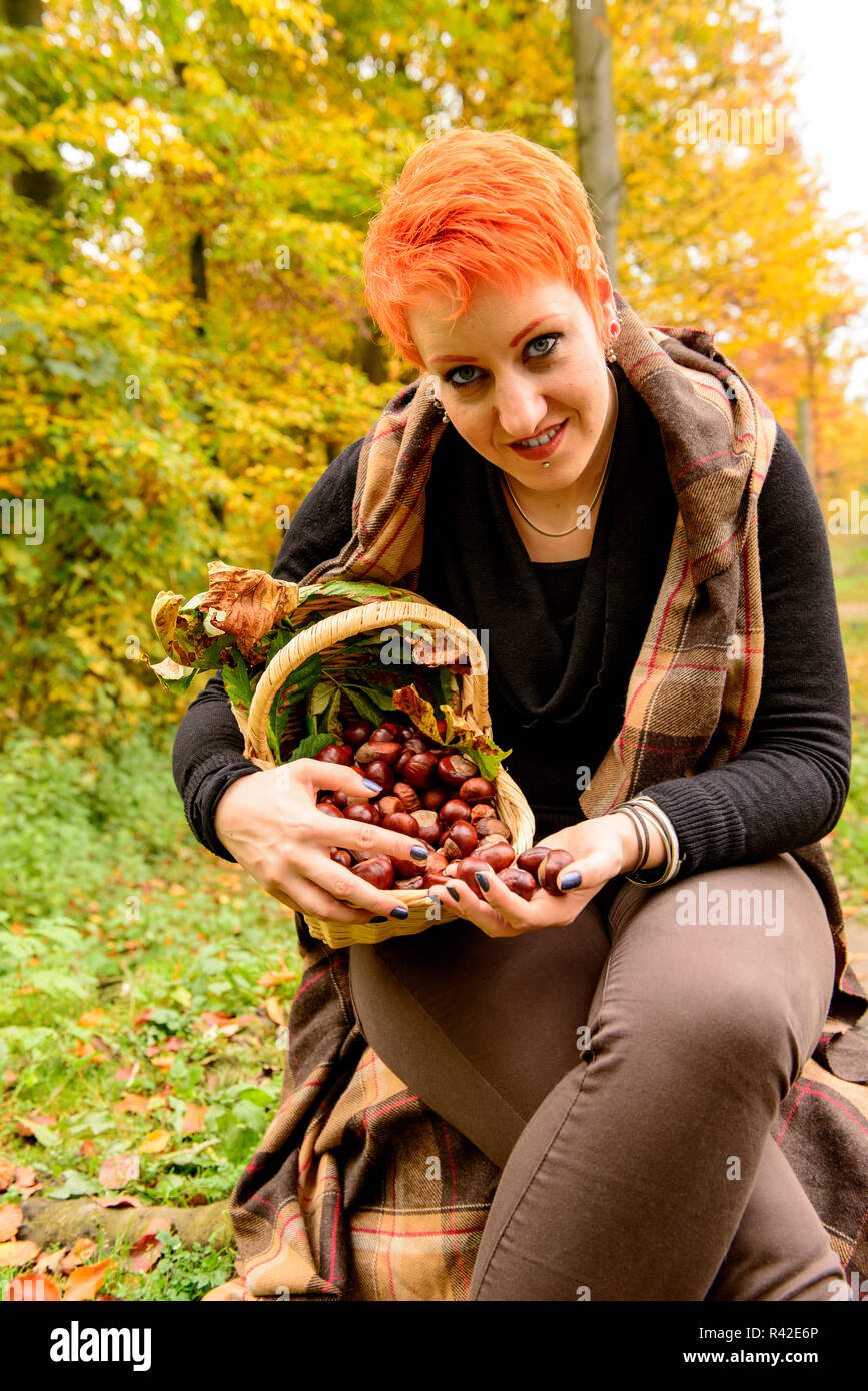 Femme recueille des châtaignes en automne Banque D'Images