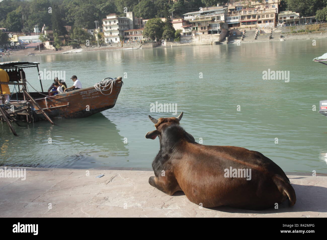 La vie à Rishikesh, sur les rives du fleuve ganga Banque D'Images
