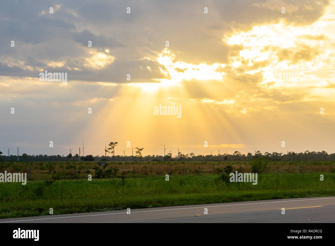 Coucher de soleil sur les pâturages de la vache folle dans l'ouest de Martin County, Floride, États-Unis Banque D'Images