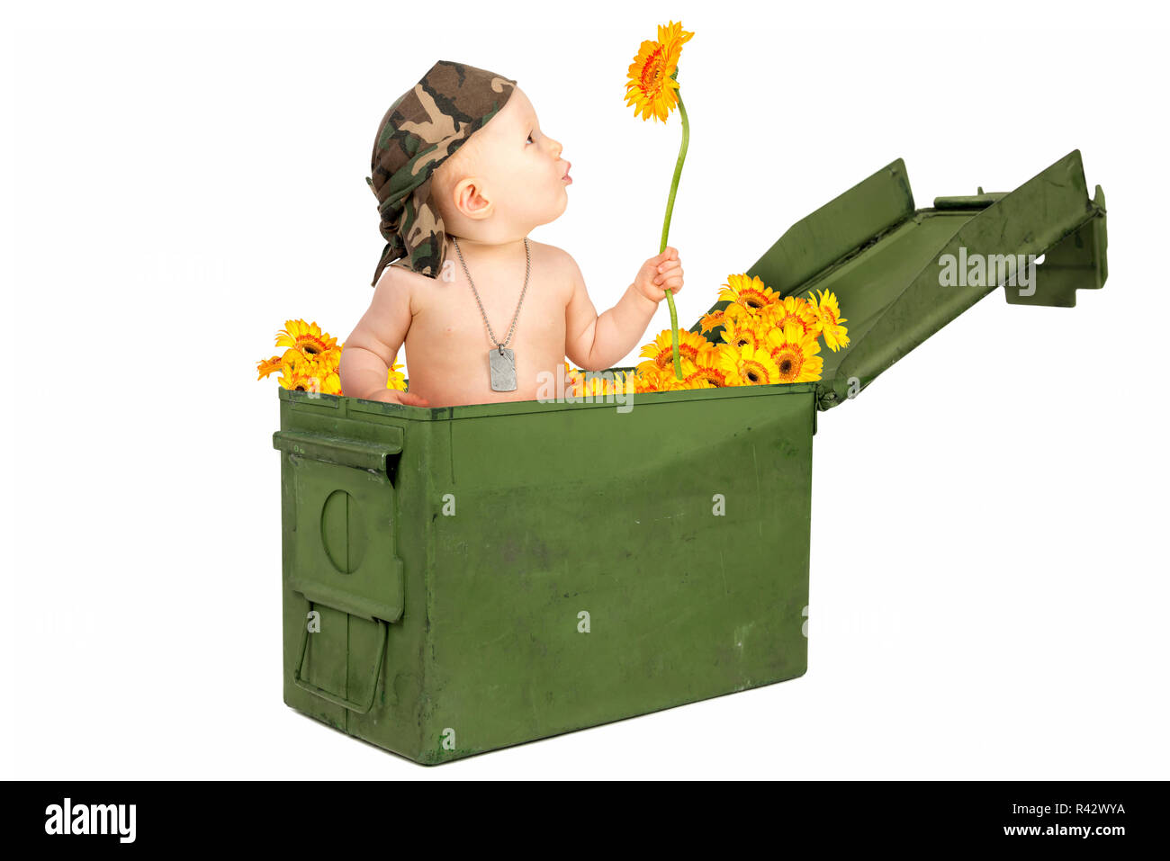 Flower power Banque D'Images