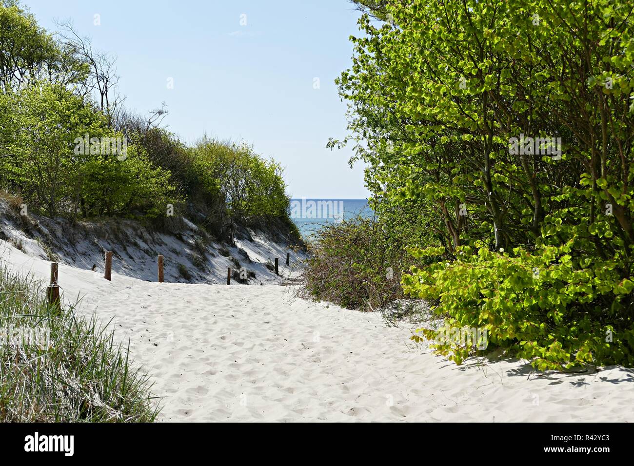 West Beach darÃŸ Banque D'Images