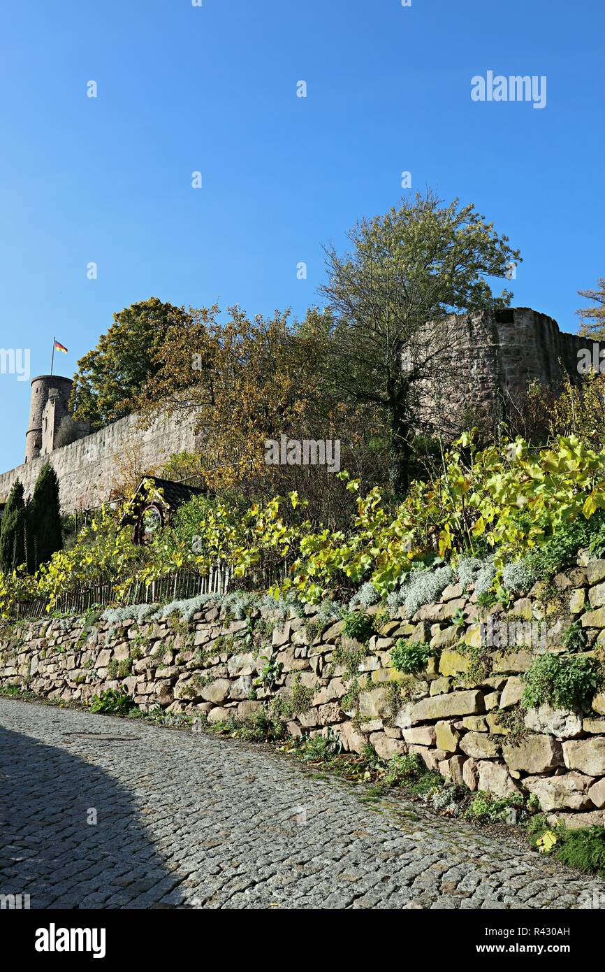 Cité médiévale du château Banque D'Images