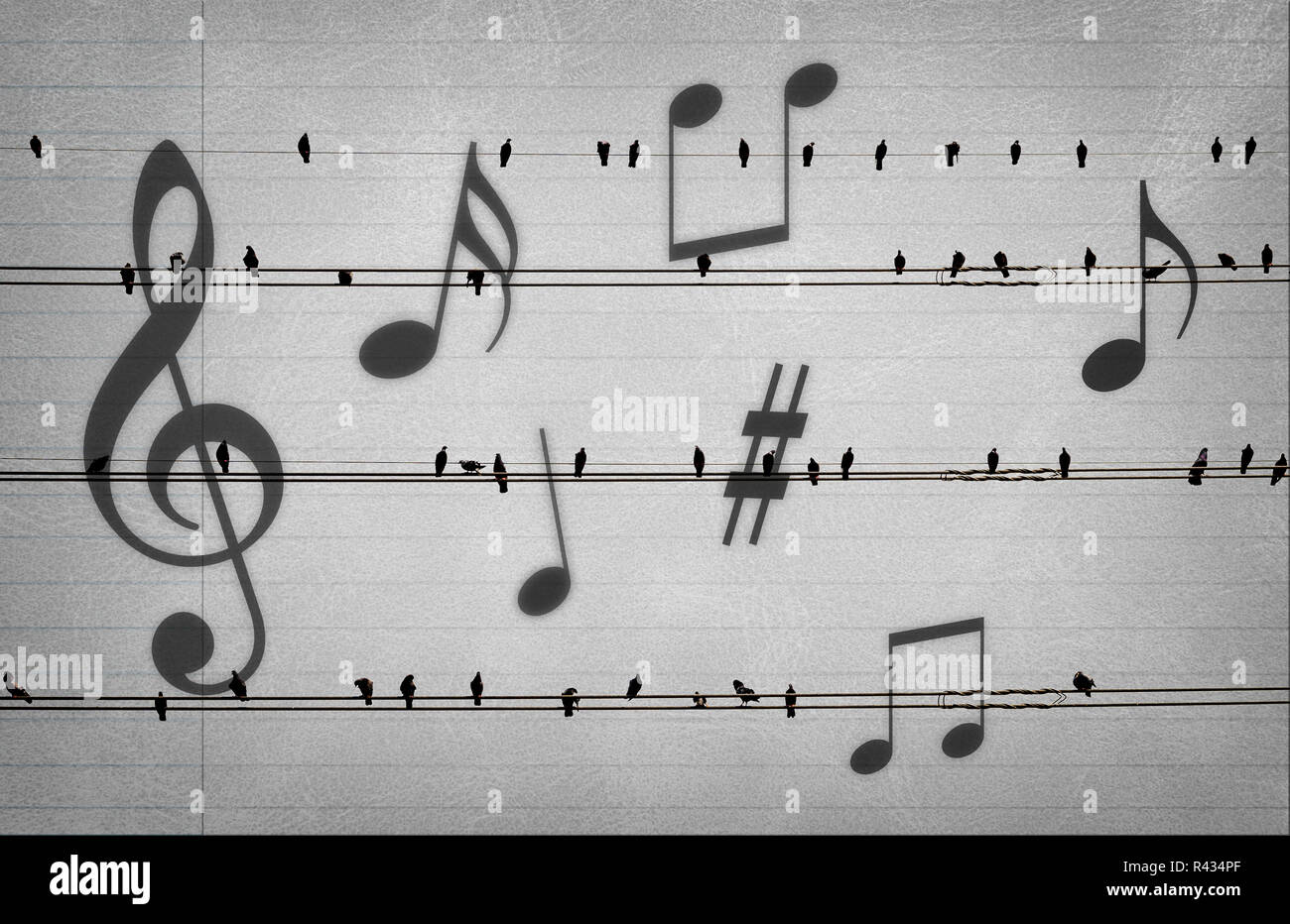 Les pigeons sur les fils électriques avec la musique noteson sur vieux papier ressemblent à des notes de musique,concept musical Banque D'Images