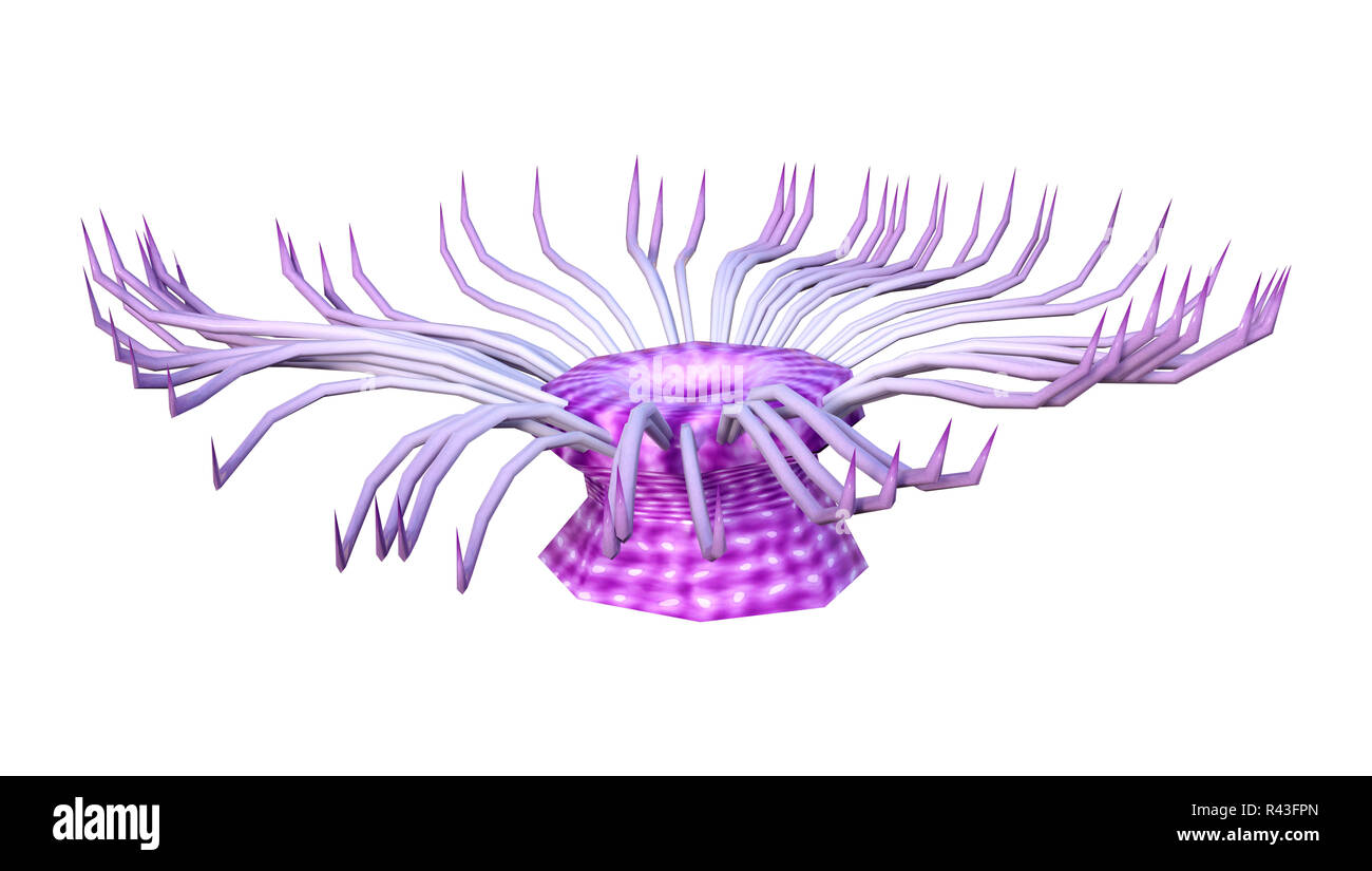 Le rendu 3D d'une anémone de mer isolé sur fond blanc Banque D'Images