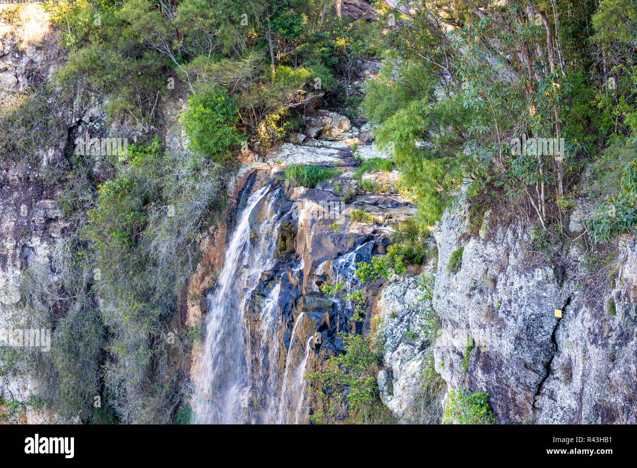 Furlong brook cascade dans le parc national de Springbrook, Gold Coast hinterland,Queensland, Australie Banque D'Images