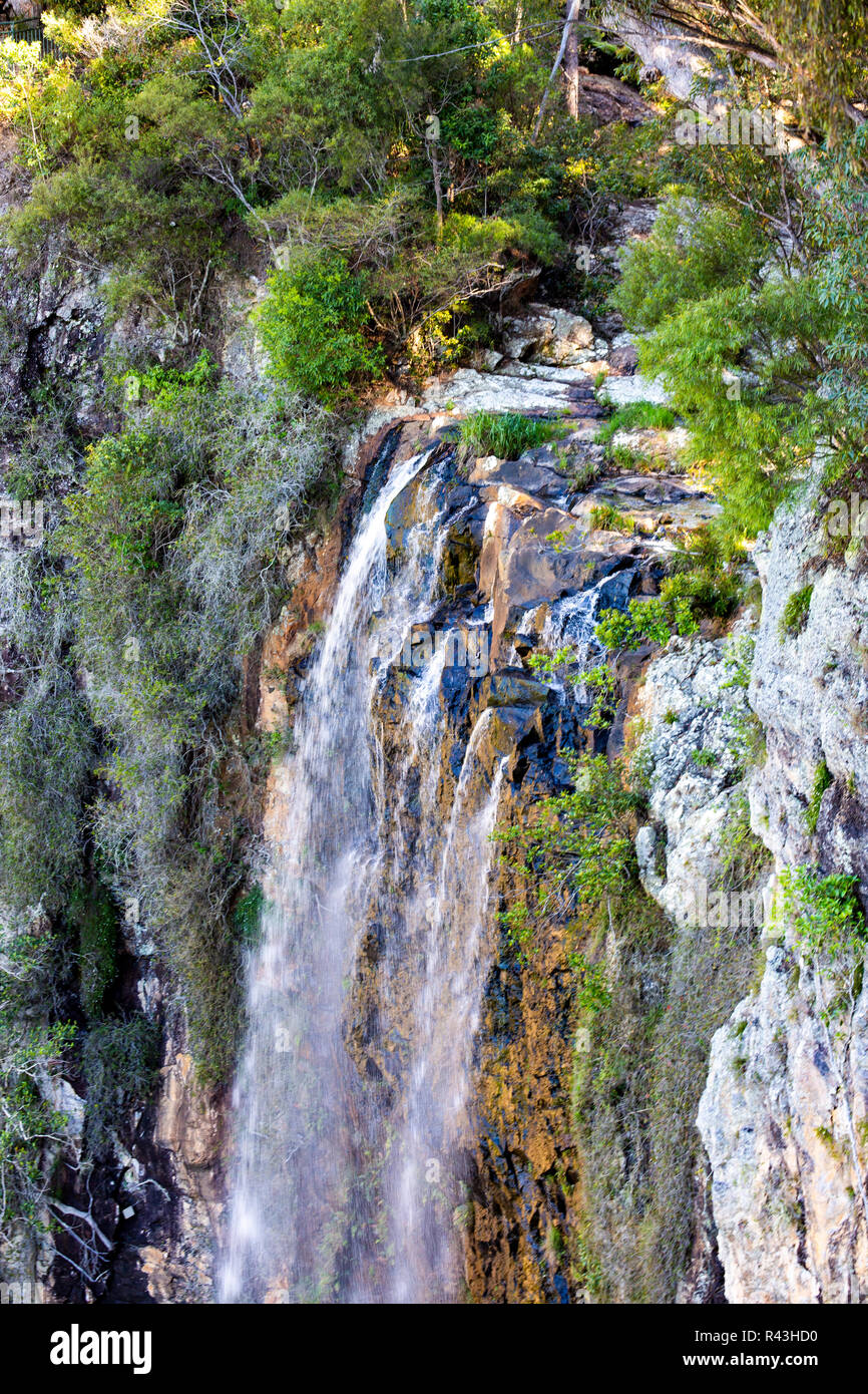 Furlong brook cascade dans le parc national de Springbrook, Gold Coast hinterland,Queensland, Australie Banque D'Images