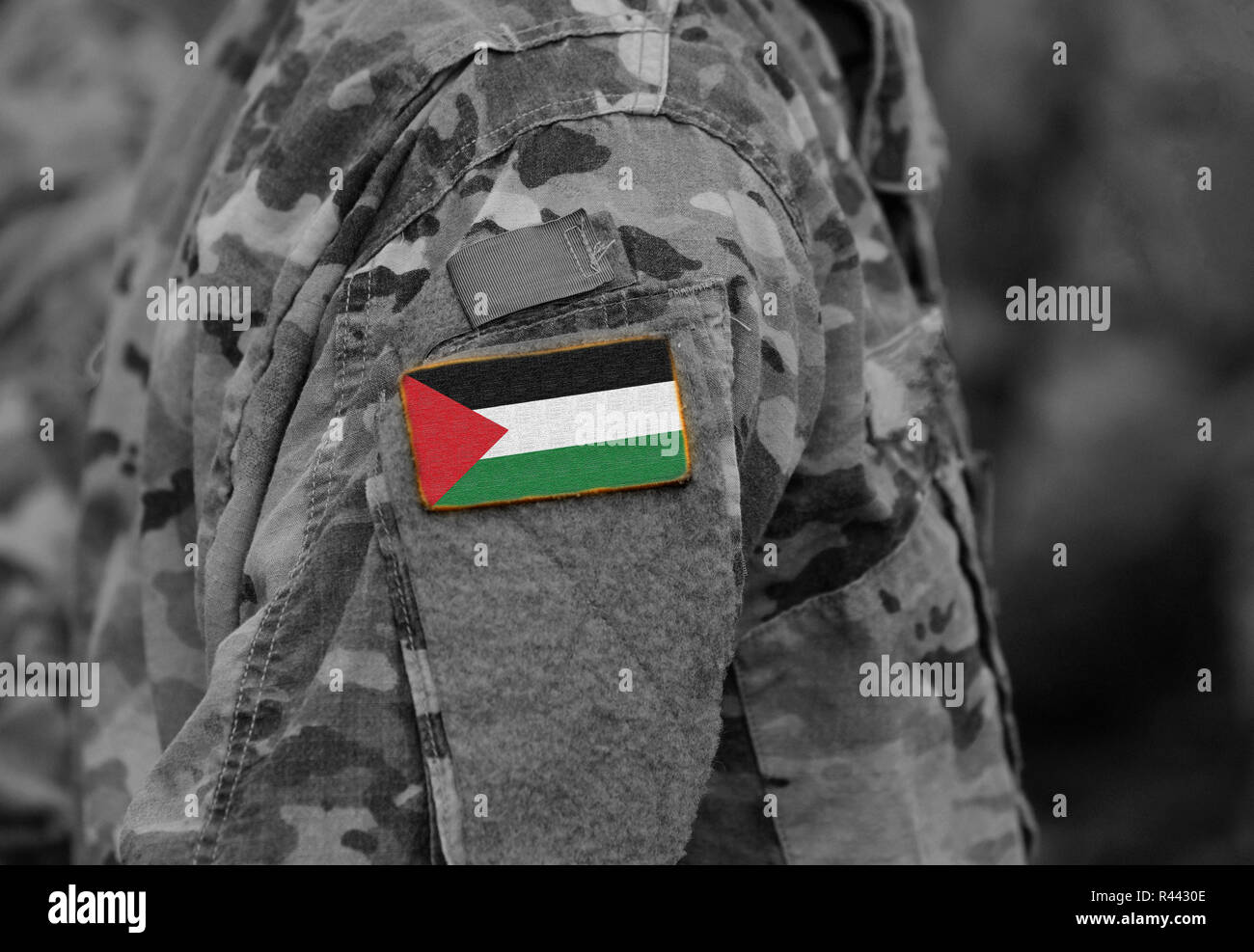 Etat de Palestine drapeau sur le bras de soldats (collage). Banque D'Images