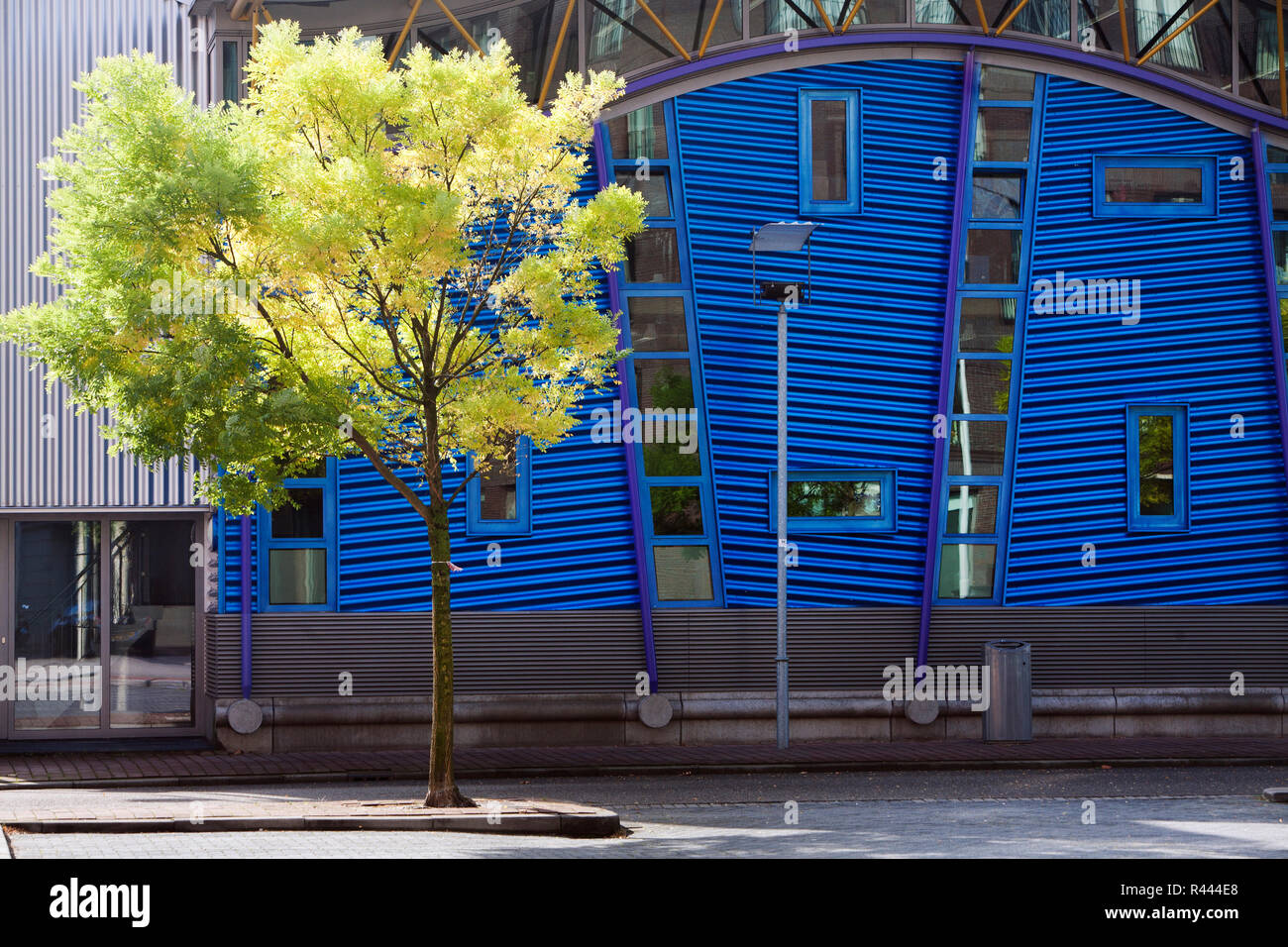 Arbre en face de d'un immeuble moderne en métal ondulé bleu Banque D'Images