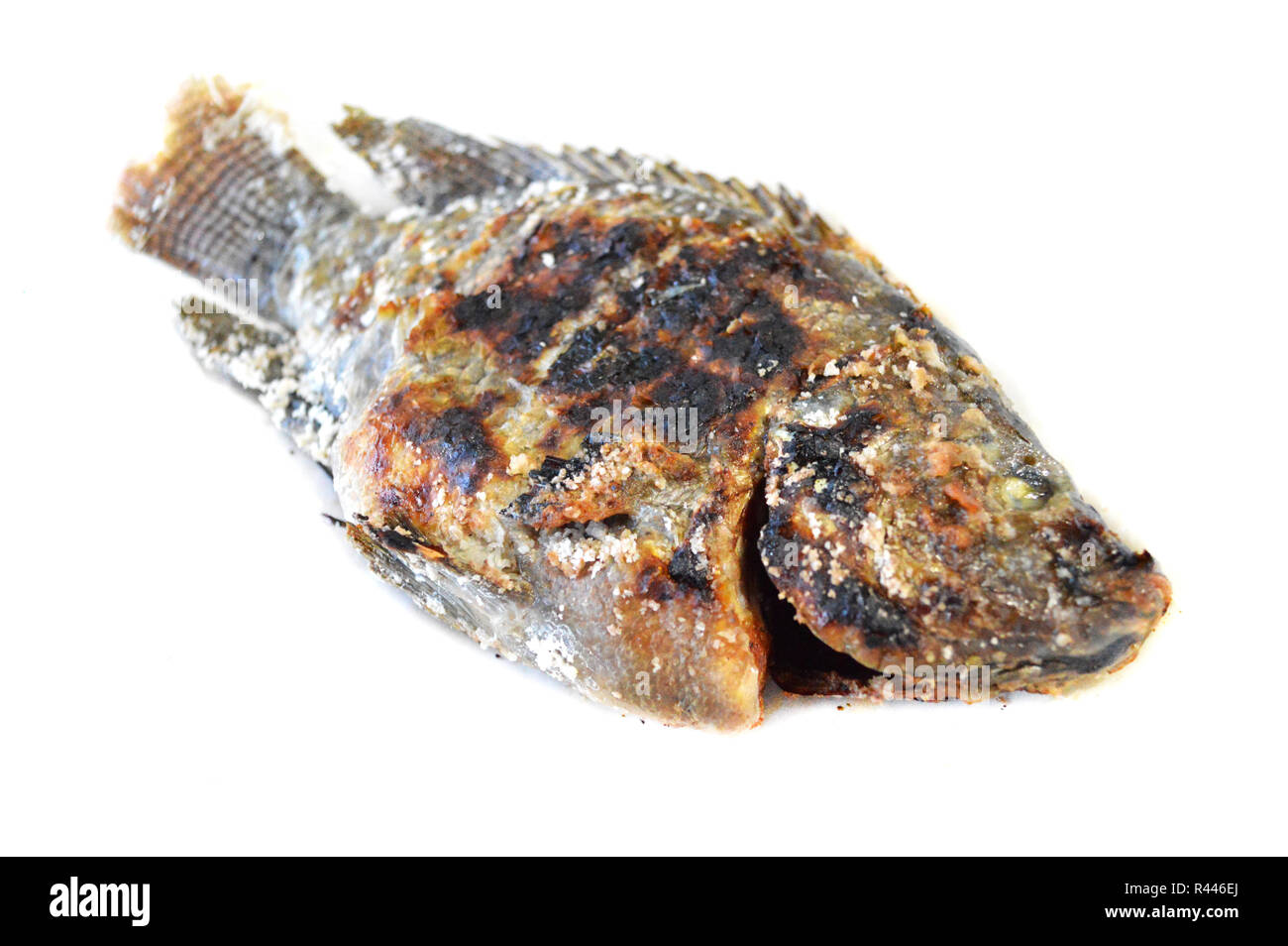 Le poisson Tilapia tilapia / isolés du poisson grillé avec du sel dans un style asiatique foof isolé sur fond blanc - Gravure de poisson Tilapia thaïlandais brûlé Banque D'Images