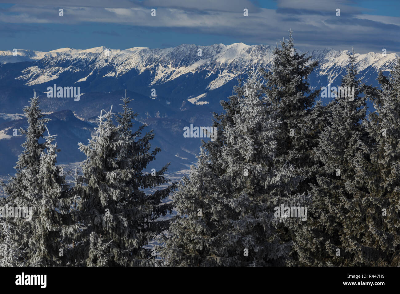 Paysage de montagne Banque D'Images