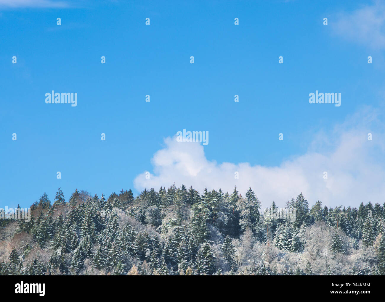 À partir de la forêt couverte de neige en hiver avec ciel bleu Banque D'Images