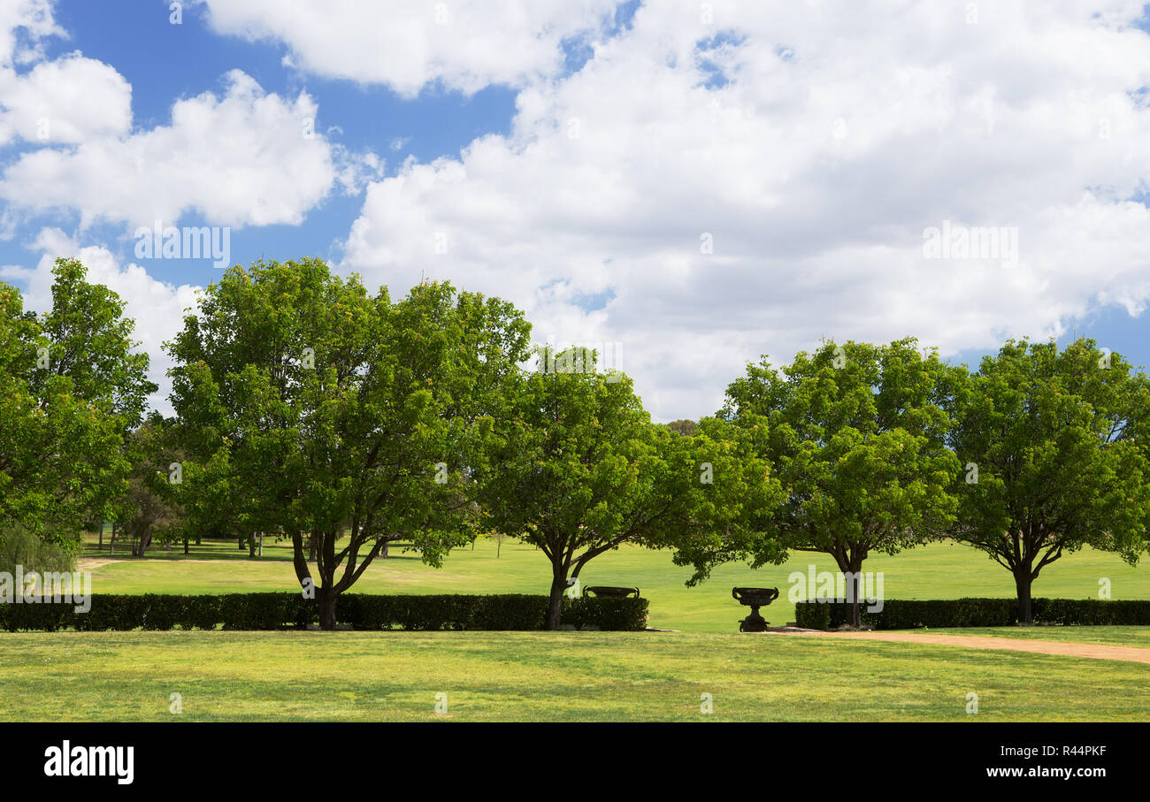 Un vignoble de la vallée de Swan à côté de la rivière Swan, Perth, Australie occidentale Banque D'Images