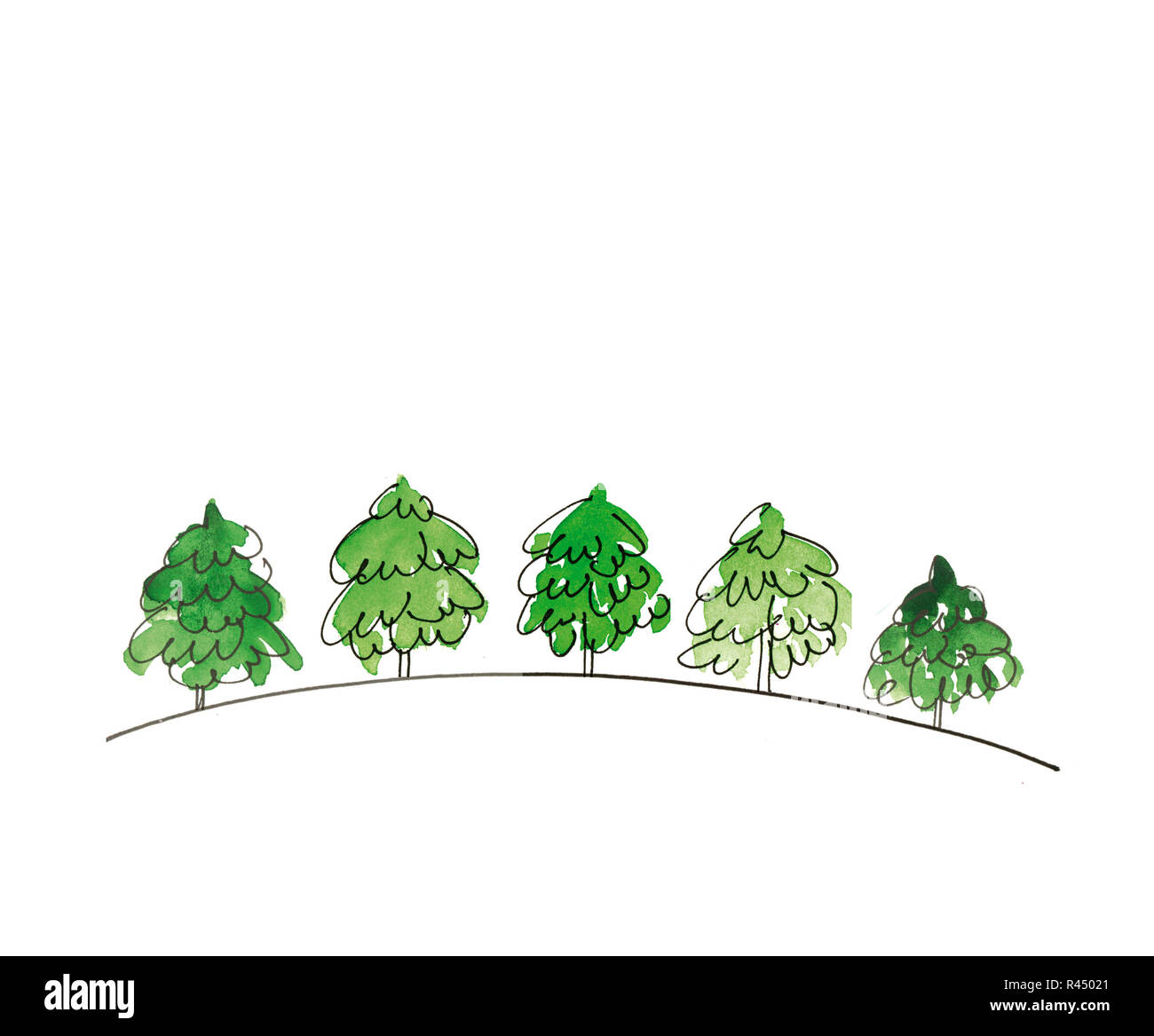 L'hiver dans une forêt d'arbres de Noël Banque D'Images