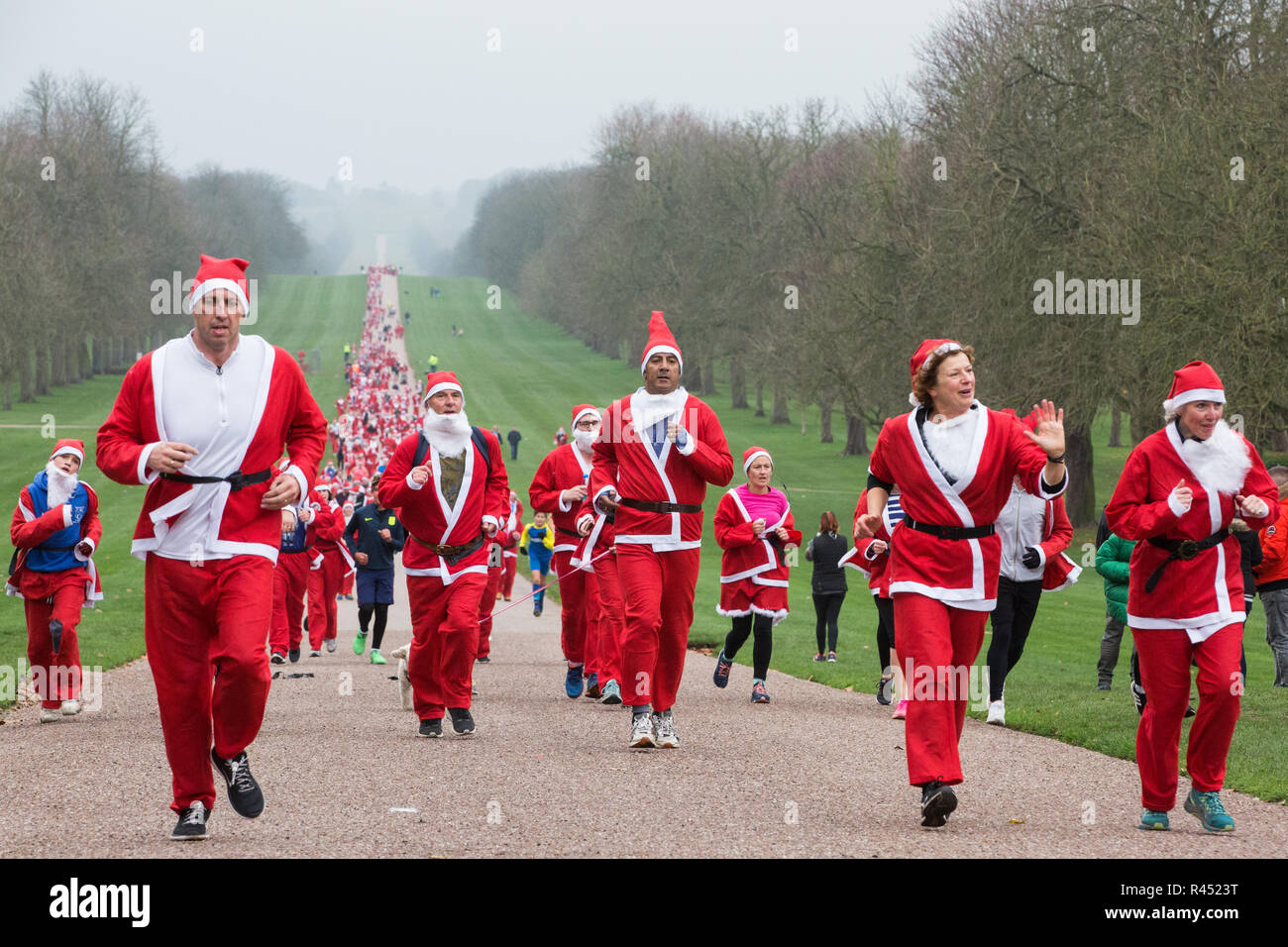 Windsor, Royaume-Uni. 25 novembre, 2018. Porteur habillé en père Noël et ses rennes prendre part au 2018 Santa Dash dans l'aide de l'Alexander Devine Children's Hospice sur la longue promenade à Windsor Great Park. Credit : Mark Kerrison/Alamy Live News Banque D'Images