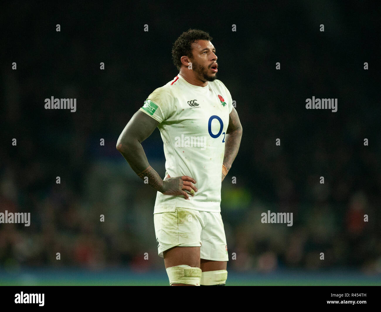 London, UK. 24 novembre 2018. Courtney Lawes de l'Angleterre au cours de la 183 International Rugby match entre l'Angleterre et l'Australie. Andrew Taylor/Alamy Live News Banque D'Images