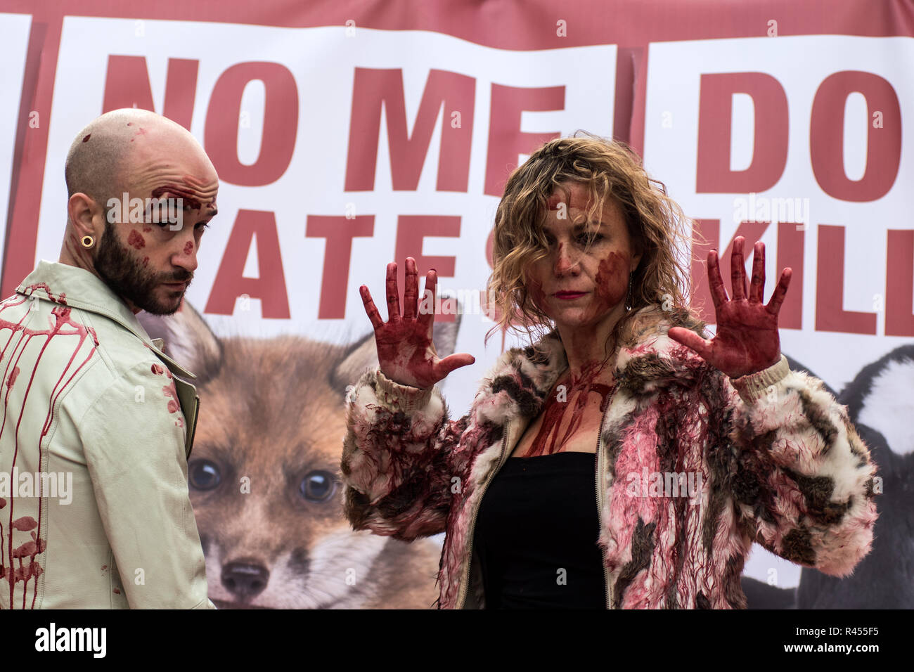 Madrid, Espagne, 25 novembre 2018.Les activistes des droits des animaux-pro groupe 'Gladiadores por la paz" (pour la paix) gladiateurs couverts de faux sang d'effectuer une manifestation sous le slogan 'Catwalk de la souffrance", pour protester contre l'utilisation de peaux d'animaux dans l'industrie de la fourrure. Credit : Marcos del Mazo/Alamy Live News Banque D'Images