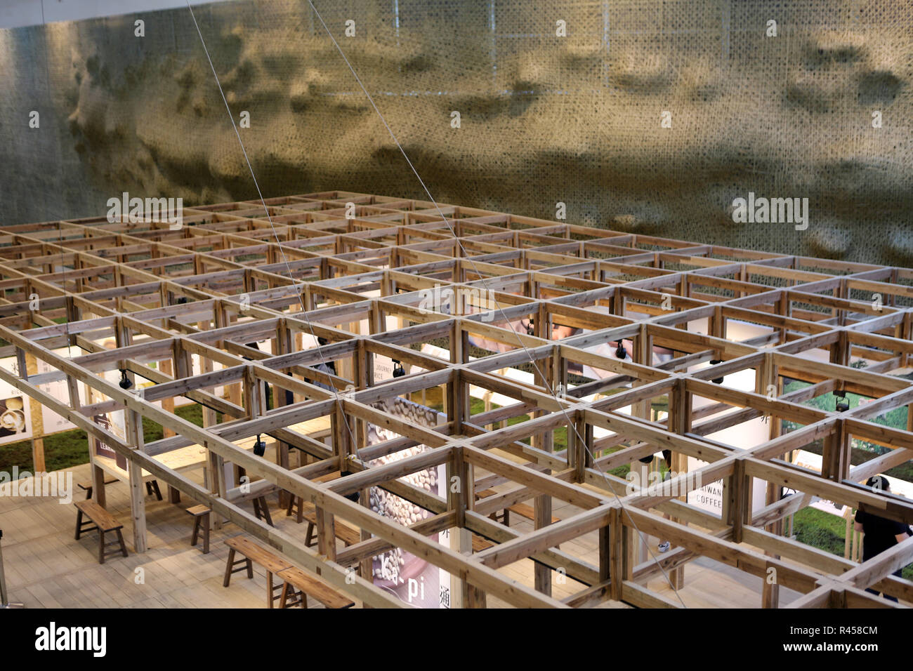 Taiwan, Chine. 26 Nov, 2018. Taiwan, Chine-divers de belles fleurs peuvent être vus au monde de Taichung 2018 Flower Expo dans le sud de la Chine, Taïwan. Crédit : SIPA Asie/ZUMA/Alamy Fil Live News Banque D'Images