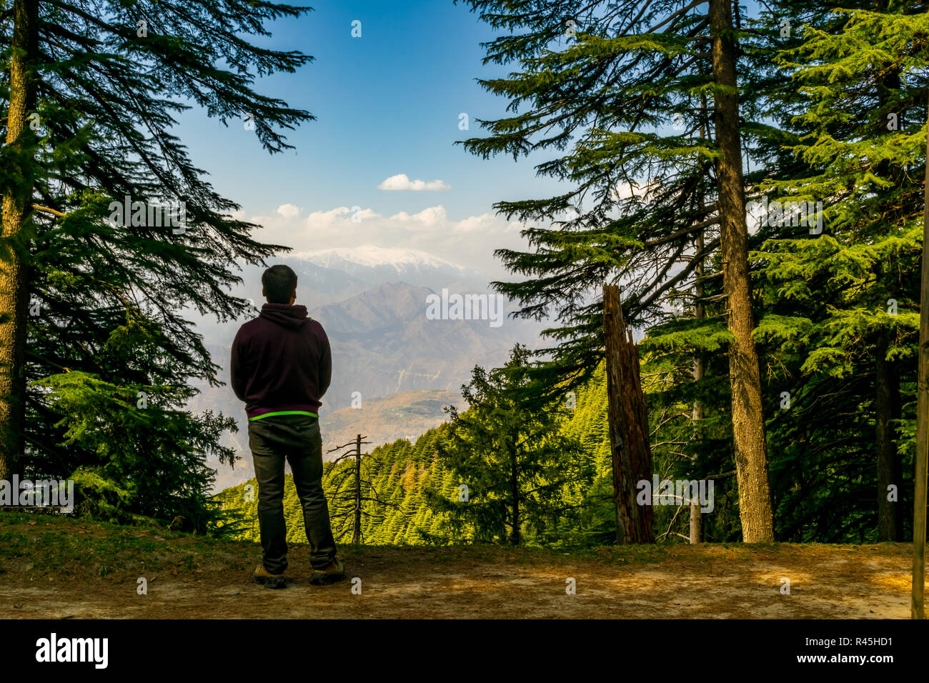 Sanctuaire de faune de Kalatop- à travers une clairière dans la forêt, un aperçu de la chaîne de montagnes enneigées au loin Banque D'Images