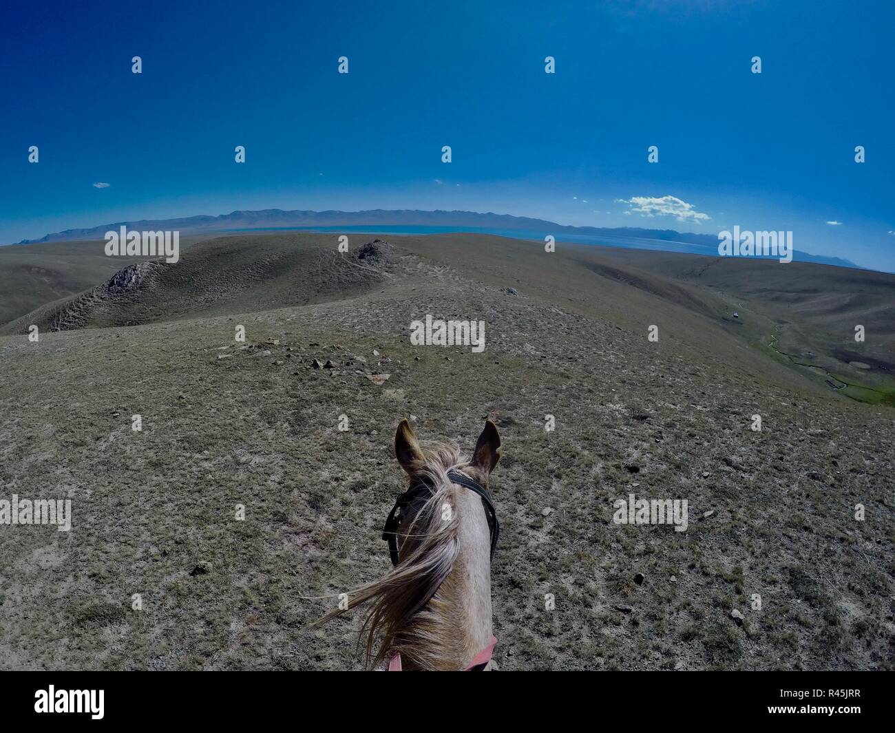 Une vue sur le lac de Kol chanson cheval. Kirghizistan Banque D'Images Une vue sur le lac de Kol chanson cheval. Kirghizistan Banque D'Images