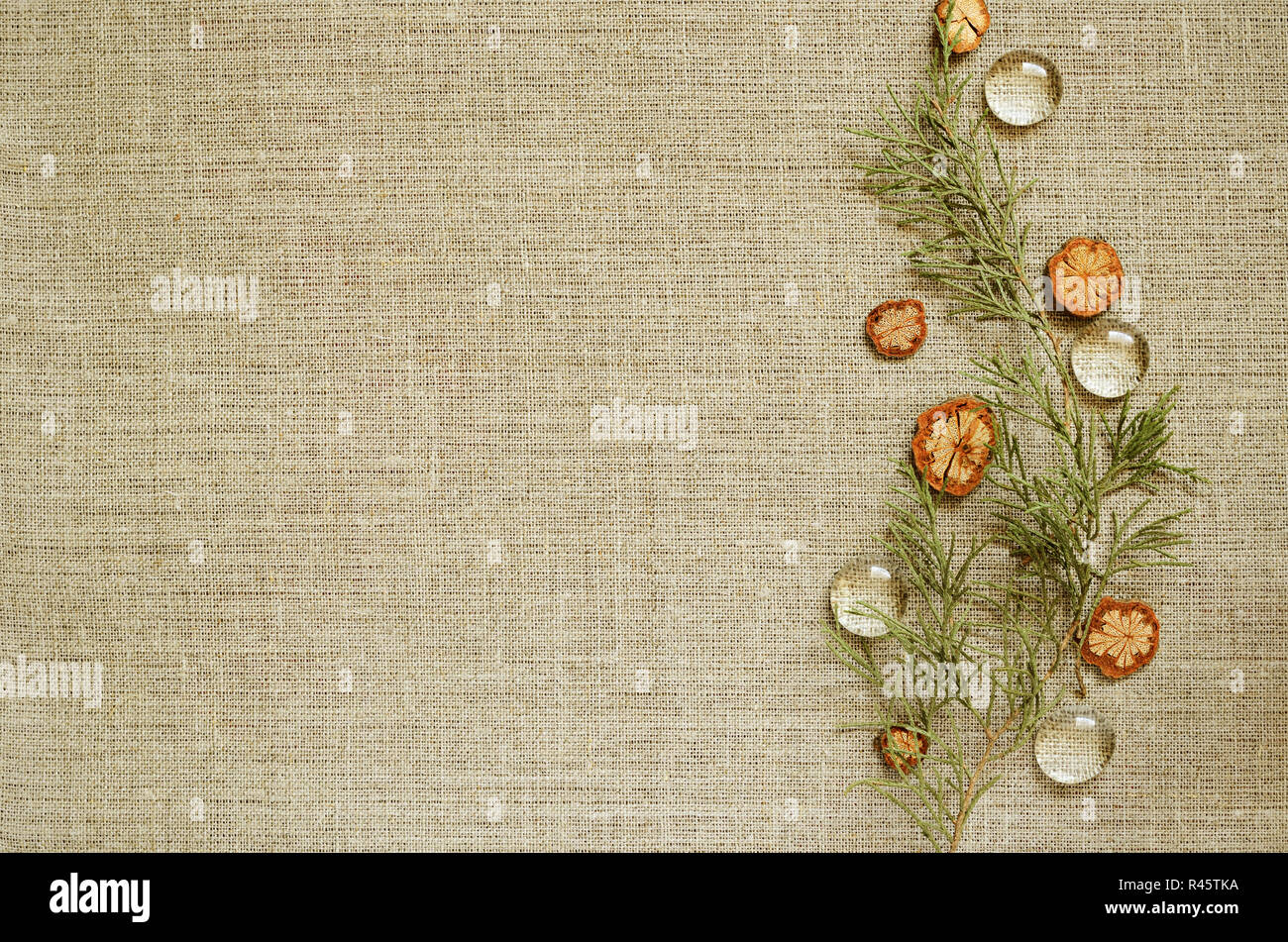 Toile de fond avec une composition thuja branches sur le bord Banque D'Images
