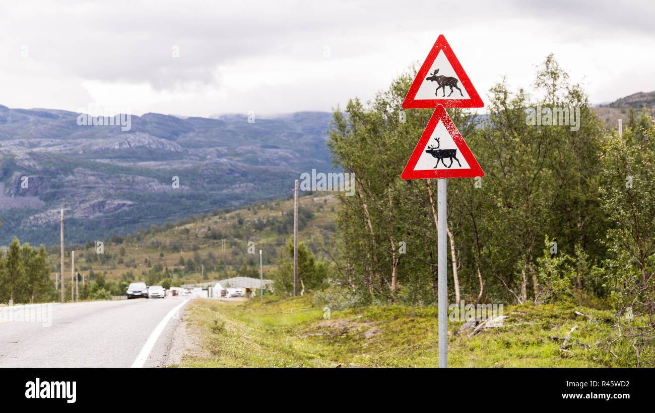 Panneau de circulation avec le renne et d'orignal le long de la route en Scandinavie Banque D'Images