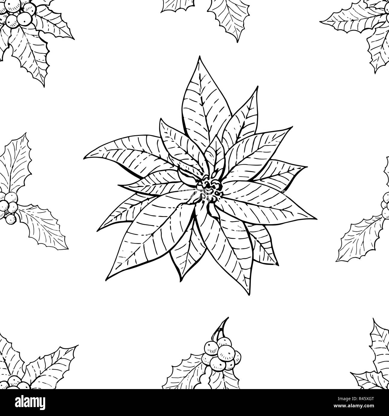 Modèle sans couture avec homeplant traditionnel poinsettia et holly plante. Texture sans fin avec des fleurs utilisées à l'intérieur. Vector illustration monochrome. Illustration de Vecteur