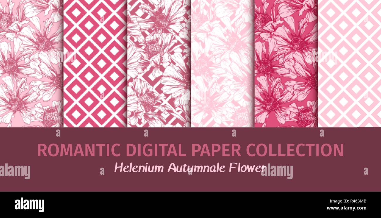 Mariage d'emballage ou de collecte de documents numériques. Fleurs rose romantique pour la Saint-Valentin les modèles sans couture Maison de découpage. Vector floral féminin d'écran avec Helenium autumnale Flower Illustration de Vecteur