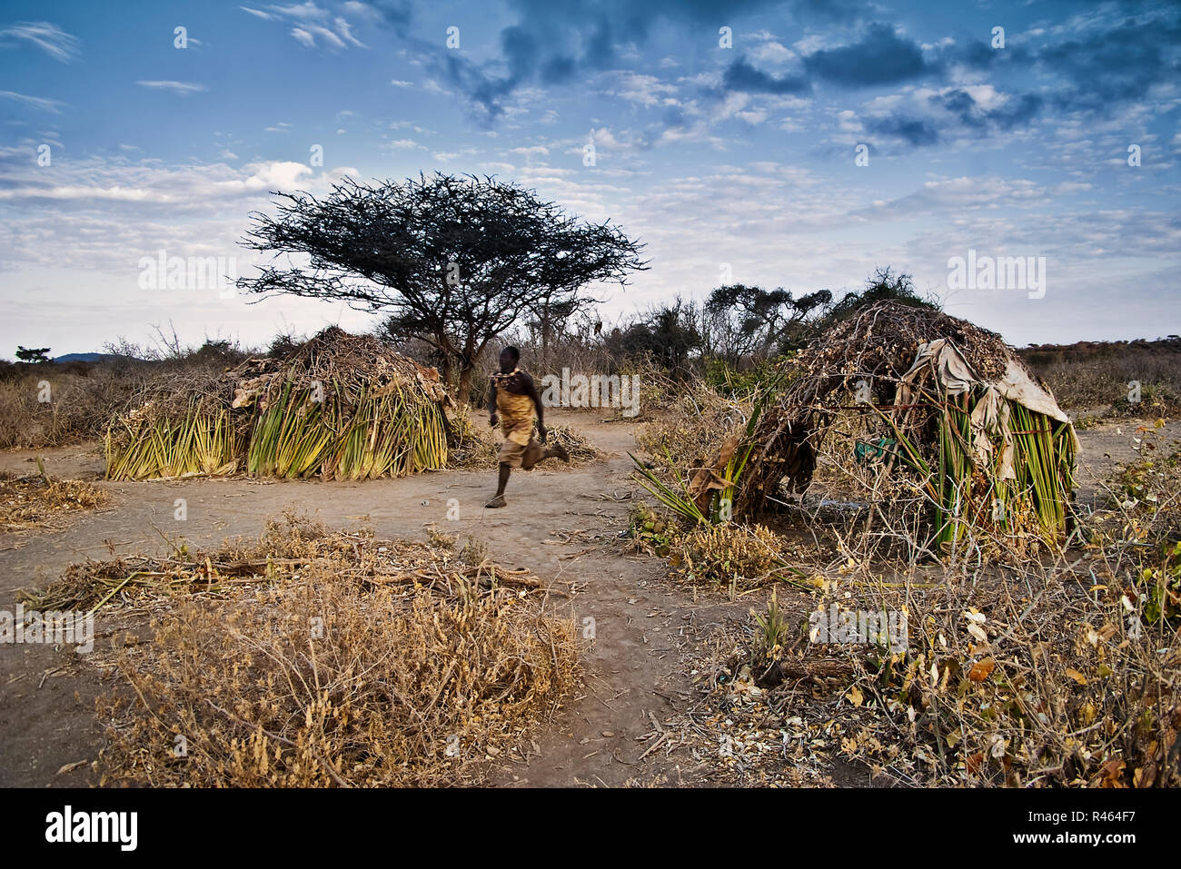 Un homme Hadza (chasseurs-cueilleurs) fonctionnant par les huttes du village à l'aube Banque D'Images