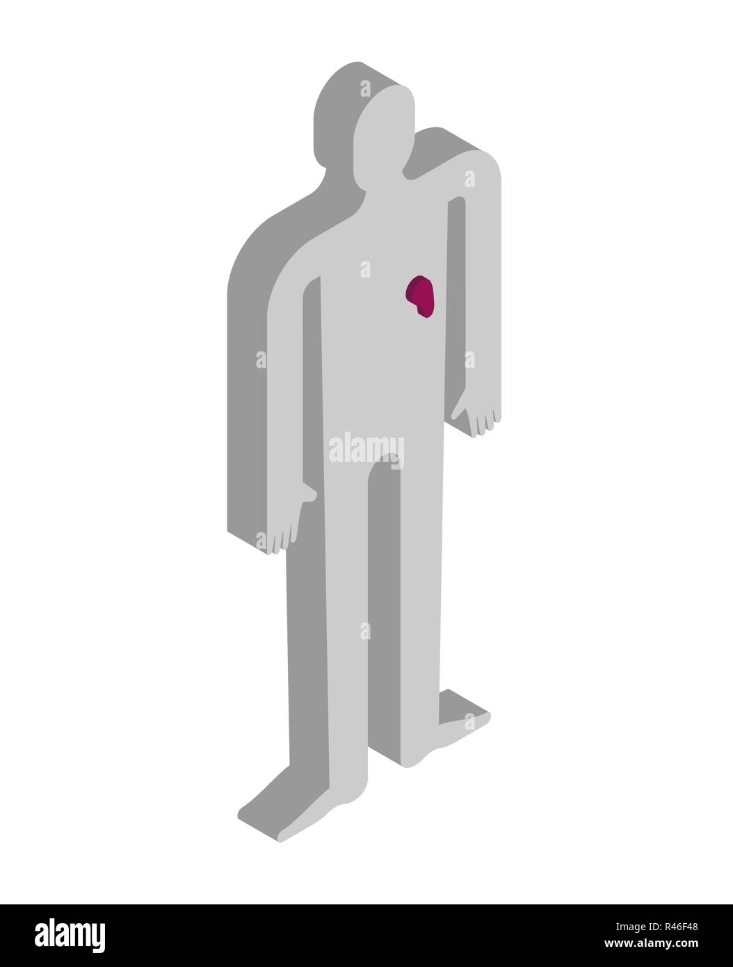 La rate anatomie d isométrique corps humain. Les organes internes du corps des systèmes d'organes de la 3D. Illustration de Vecteur