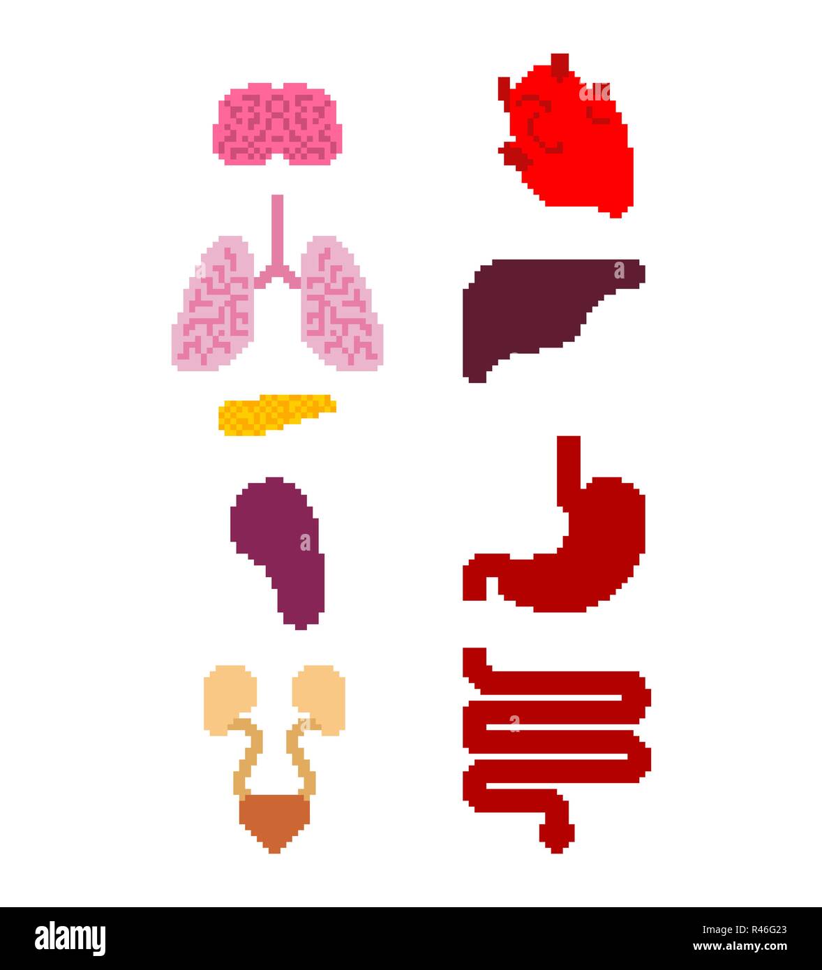 Organe interne pixel art set. Bit 8 anatomie de l'organisme humain. Du cœur et du cerveau. Le foie et l'estomac. L'œsophage et du pancréas. Les reins et la rate. Les poumons. Système. Illustration de Vecteur