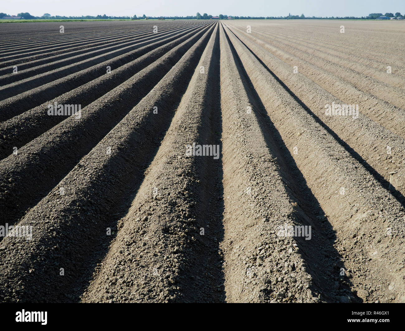 Les champs labourés à l'ouest de Medemblik, Pays-Bas Banque D'Images