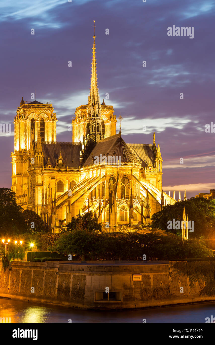 La Cathédrale Notre Dame Paris crépuscule Banque D'Images