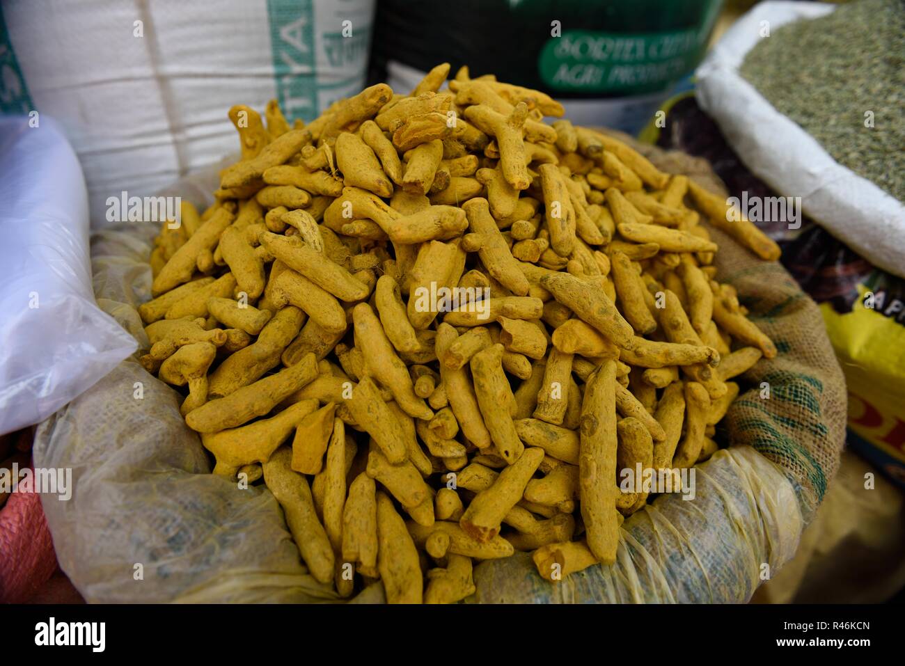 Panier de racine Turmerique fraîche, Curcumin (Curcuma Longa) ou Haldi dans un marché aux épices, Jaipur, Rajasthan, Inde Banque D'Images