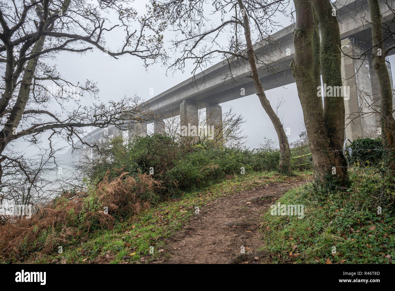 Pont dans le Matin brumeux Banque D'Images